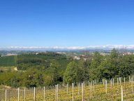 V Rustico Penango