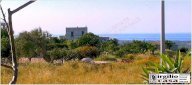 Vendita Rustico/Casale Ostuni
