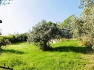 Vendita Rustico/Casale Tortoreto