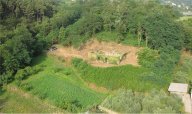 Vendita Rustico/Casale Capannori
