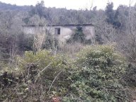 Vendita Rustico/Casale Patrica