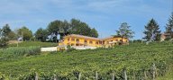 V Rustico Calosso