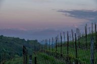 V Rustico Serravalle Langhe
