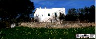 Vendita Rustico/Casale Ostuni