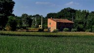 Vendita Rustico/Casale Monte Castello di Vibio