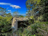 Vendita Rustico/Casale Rorà