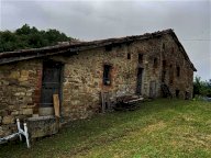 V Rustico Pellegrino Parmense