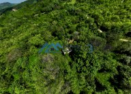 Vendita CASALE AMANDOLA