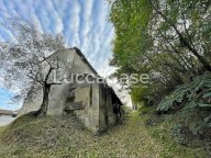 vendita rustico/corte Lucca