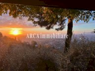 vendita rustico/corte Pietrasanta