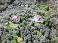 vendita rustico/corte Lucca