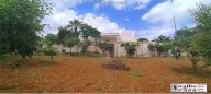 Vendita Trullo Ostuni