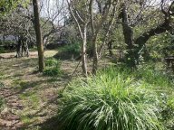 vendita colonica/casale Cascina