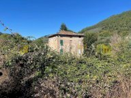 vendita colonica/casale Capannori