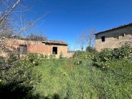 vendita colonica/casale Asciano