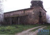 vendita colonica/casale Vinci