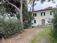 vendita colonica/casale Cecina