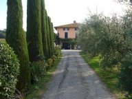 vendita rustico/corte Montecarlo