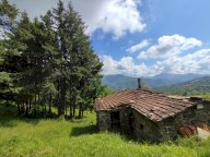 vendita rustico/corte Leivi