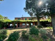 vendita colonica/casale Peccioli