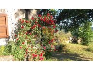 Vendita colonica CHIUSDINO