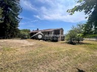 vendita colonica/casale Buti