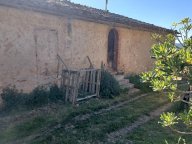 vendita colonica/casale Casole d'Elsa