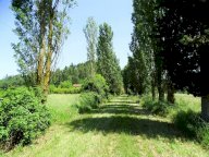 vendita colonica/casale San Miniato