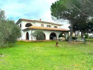 vendita colonica/casale Cecina