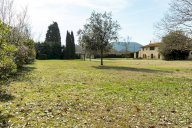 vendita rustico/corte Pisa