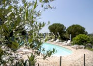 vendita colonica/casale Siena