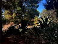 Vendita  Casteldaccia