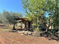 Vendita Rustico/Casale Conversano