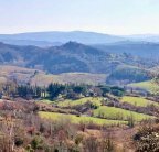 vendita rustico/corte Palaia