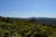 vendita colonica/casale Aggius