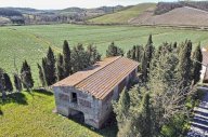 vendita colonica/casale Certaldo