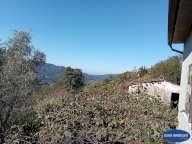 vendita rustico/corte Camaiore