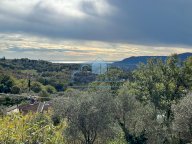 vendita rustico/corte Fosdinovo