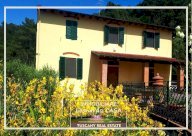 vendita colonica/casale Vinci