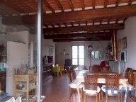 vendita colonica/casale Montespertoli