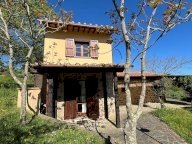 vendita rustico/corte Chianni