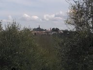 vendita colonica/casale San Miniato