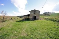 vendita colonica/casale Certaldo