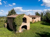 vendita colonica/casale Pontedera