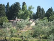 vendita colonica/casale Montemurlo