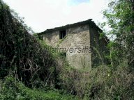 vendita colonica/casale Poppi