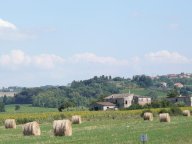 vendita colonica/casale Peccioli