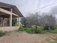 Vendita Rustico/Casale Caltanissetta