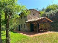 vendita rustico/corte Camaiore