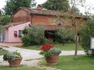 vendita rustico/corte Altopascio